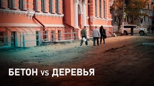 В Чите уничтожается зелёный каркас города