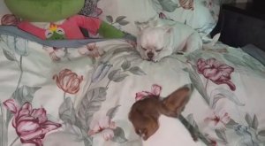 Доброго утра и прекрасного начала дня.