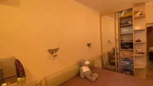 -5128630979286596307