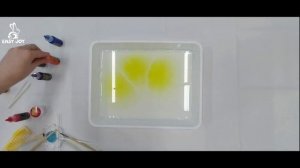 Урок Одуванчики