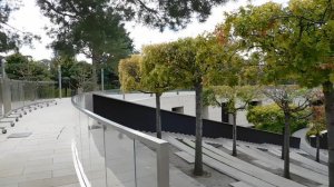 27=09=2025     КРАСНОДАР . ПАРК  СЕРГЕЯ ГАЛИЦКОГО.  ДЕНЬ ГОРОДА.  232  ГОДОВЩИНА.  JPG (10)