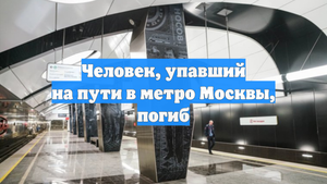 Человек, упавший на пути в метро Москвы, погиб