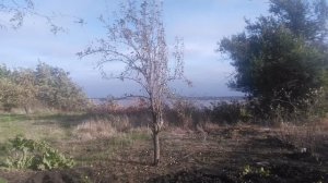 VID_20251001_082825.mp4