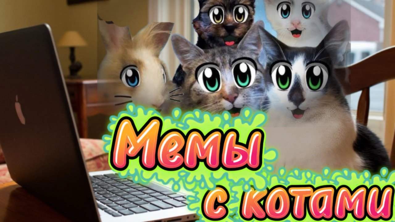 Мемы с котами от А ну-ка давай-ка
