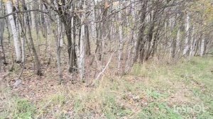 Цена промаха.