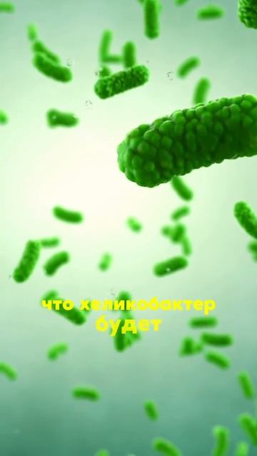 4 ДНЯ, 8 ТОПОВЫХ ЭКСПЕРТОВ, 10 ТЕММы точно знаем, что будут делать топовые эксперты ниши здоровь смотреть онлайн