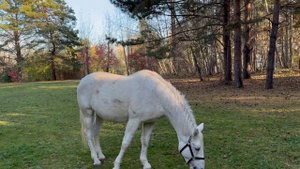 Очередной отдых в парке - часть 6