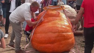 Бахча Пономаревых. Семейный отдых обеспечен.