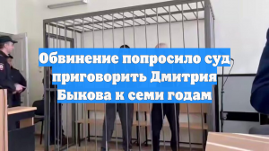Обвинение попросило суд приговорить Дмитрия Быкова к семи годам