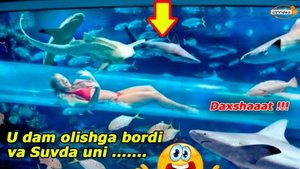 Akulali akvarium ichida suvli gorka, Las Vegas, AQSH - “Golden Nugget” mehmonxonasi !!!