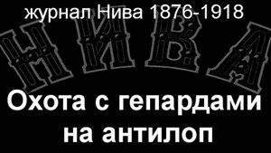 Охота с гепардами на антилоп. описание журнал Нива 1876-1918