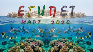 VIDEIO EGYPT 2020 (v2025)