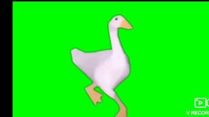 гусь танцует