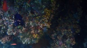 Roman and Fam wall (4).