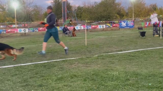 РАБОЧИЙ КОБЕЛИ / Кубок НКП РОСТОВ-НА-ДОНУ 28 сентября`25 Z.Najdovski, Е.Близнецова  Моно н/о