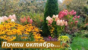 Сад перед заморозками