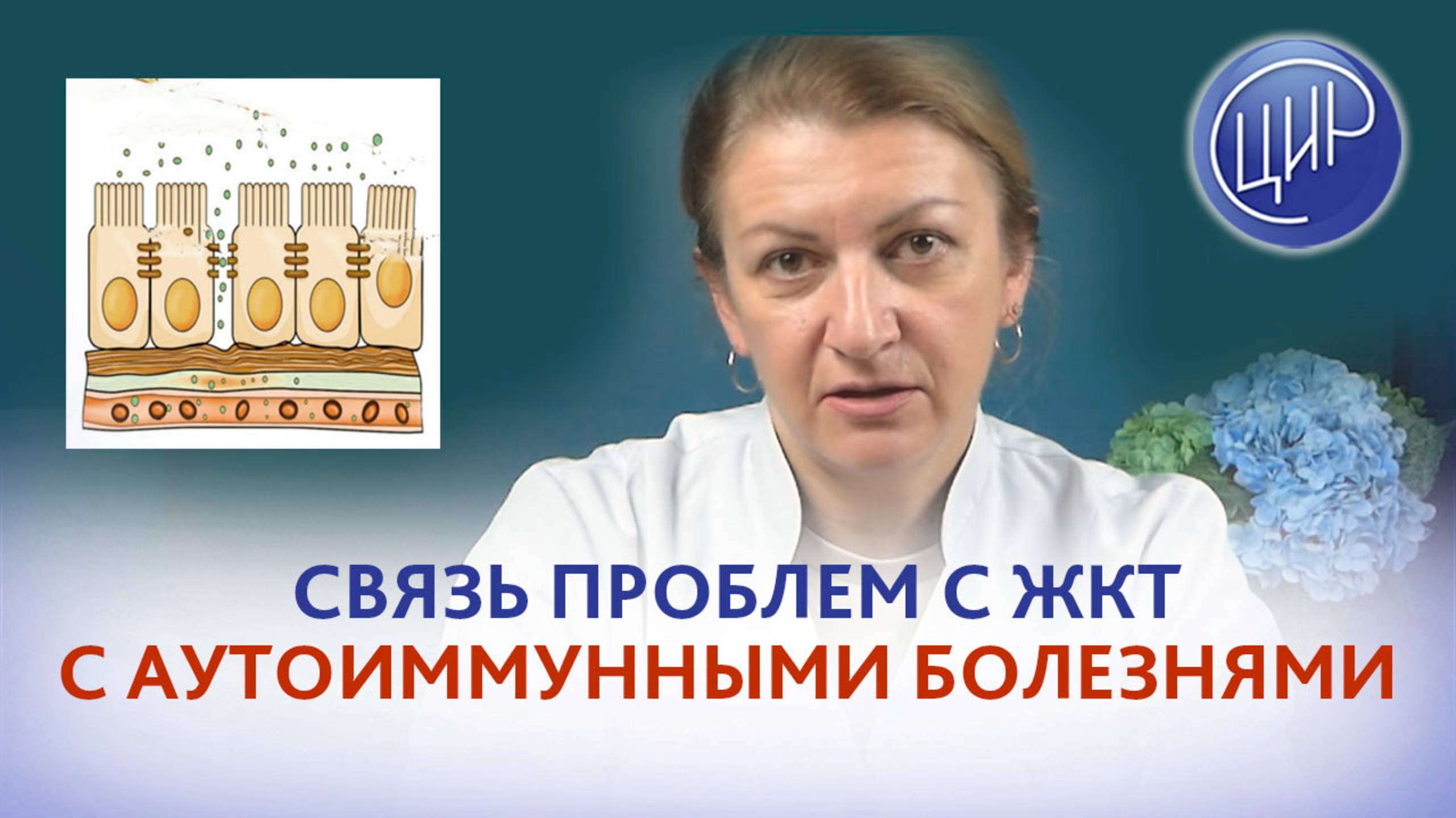 Проблемы с желудочно-кишечным трактом и их связь с аутоиммунными заболеваниями.