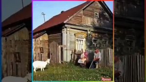 "На деревне туман!"