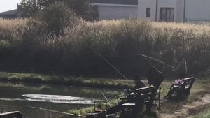 поимка форели на пасту