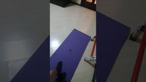 прятки с крысыром