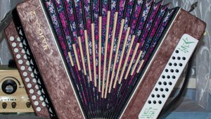 Ойся, ты Ойся гармонь