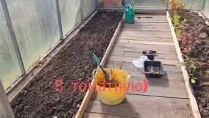 Гас разочарован, где огурцы)))). Посиделки на кругу. Опять клен)))