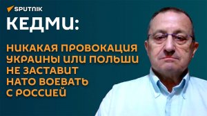Кедми: провокации Украины или Польши не заставят всю НАТО воевать с Россией