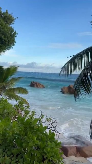 Сейшелы. The Seychelles. 塞舌尔。 смотреть онлайн