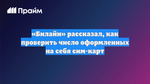 «Билайн» рассказал, как проверить число оформленных на себя сим-карт