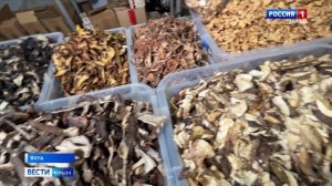 Чтобы поддержать иммунитет во время холодов, диетологи рекомендуют пить больше чая с шиповником