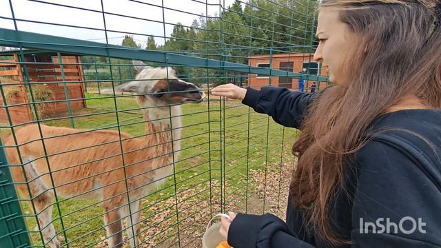 ЗЕМЛЯ ПРАЙДА ДАША смотреть онлайн