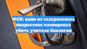 ФСБ: один из задержанных подростков планировал убить учителя биологии