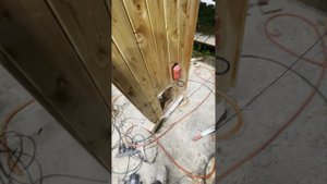 Коптильня своими руками