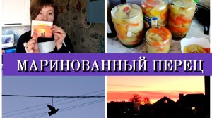 01-10-2025 ИНВЕНТАРИЗАЦИЯ НА РАБОТЕ🤯МАРИНУЮ ПЕРЕЦ🫑ПОДАРКИ С ЮГА👍ЗАНЯЛАСЬ ТВОРЧЕСТВОМ❤️СНОВА УРОКИ