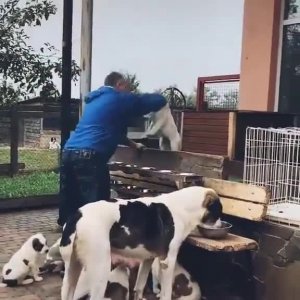 Самый хитрый😁