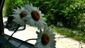 АБХАЗИЯ ВОСХИТИТЕЛЬНА