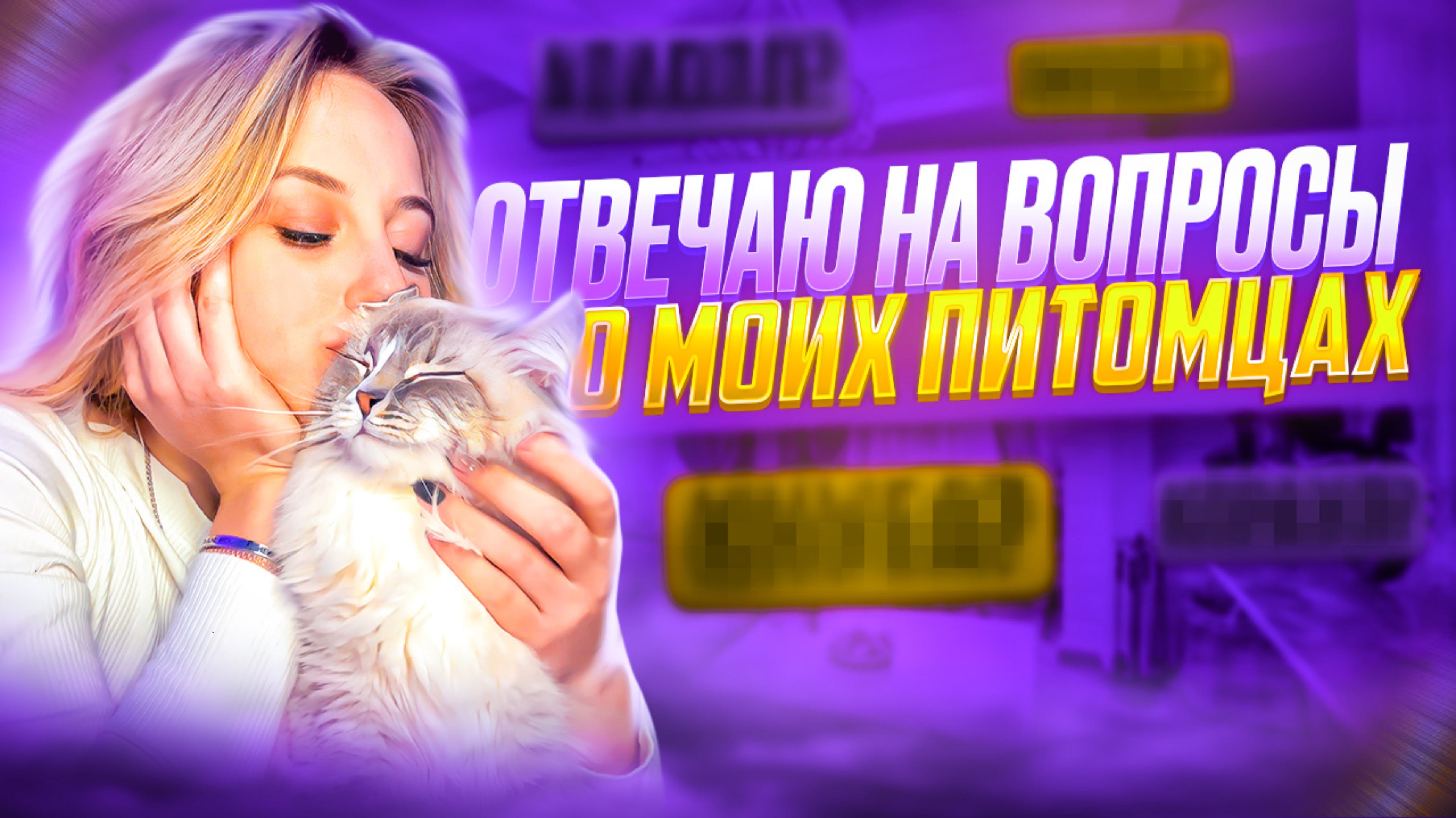 Пушистая банда | Мои котята