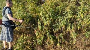 SG230-lite 4 тактная сверх лёгкая мотокоса Красная Звезда Стриж Лайт легко косит циркулярным диском.