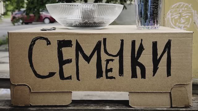 Lekrick-  Семечки