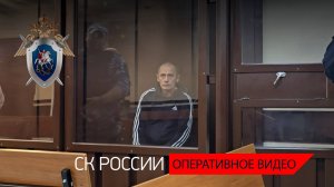 Вынесен приговор жителю Алтайского края, виновному в 11 убийствах