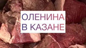 ОЛЕНИНА в казане
