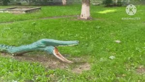 ВОТ  ТАКАЯ  В  НОВОКУЗНЕЦКЕ  ОСЕНЬ