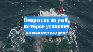 Покрытие из рыб, которое ускоряет заживление ран