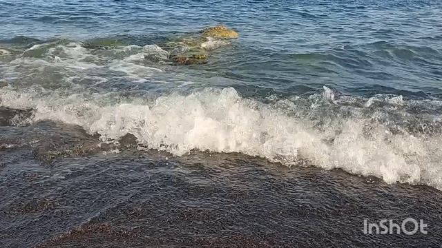 Любите друг друга ! смотреть онлайн