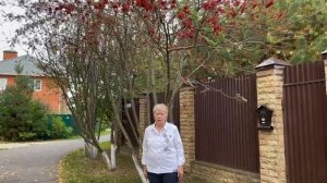 Лебедева Галина Дмитриевна