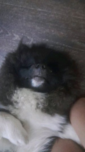 я и мой друг