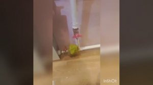 Поселок Металлургов Новокузнецкий район