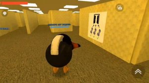 скебоб ган🐦⬛