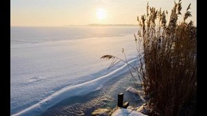 Это правда и верность (Suno AI)