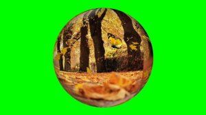 ФУТАЖ   СТЕКЛЯННЫЙ ШАР ОСЕНЬ